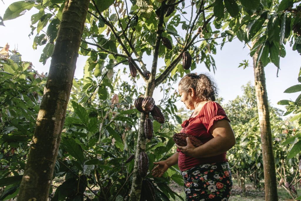 Mujeres beneficiadas en cadenas de valor de cacao