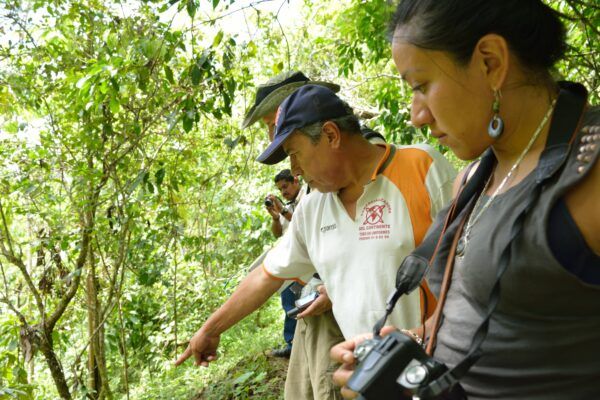 audit taking place in a coffee farm in Mexico